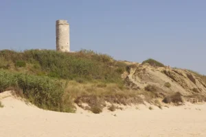 Torre del Puerco - Chiclana de la Frontera