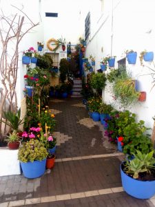 Bsrrio de los pescadores Conil de la Frontera