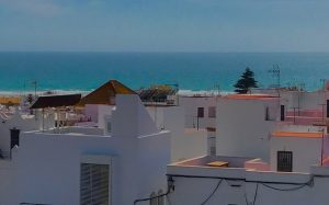 Conil
