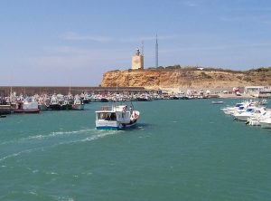 Faro y puerto de Conil