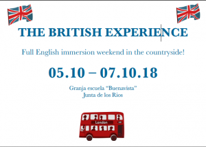 British Experience
