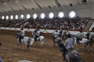 Caballos andaluces en la Real Escuela Ecuestre
