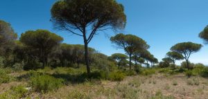 Parque Natural de la Breña