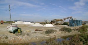 Salinas de San Fernando