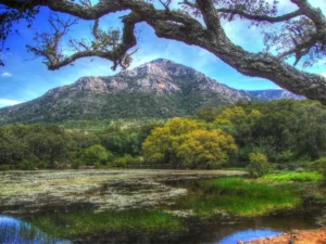 Parque Natural Alcornocales